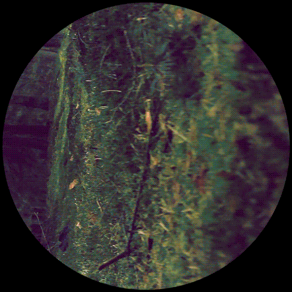 gif-rotate-circle-600